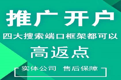 SEM代运营机构案例：关键词优化与广告投放